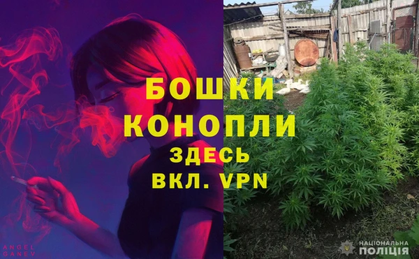 экстази Каменногорск