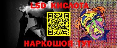 крисы Можга