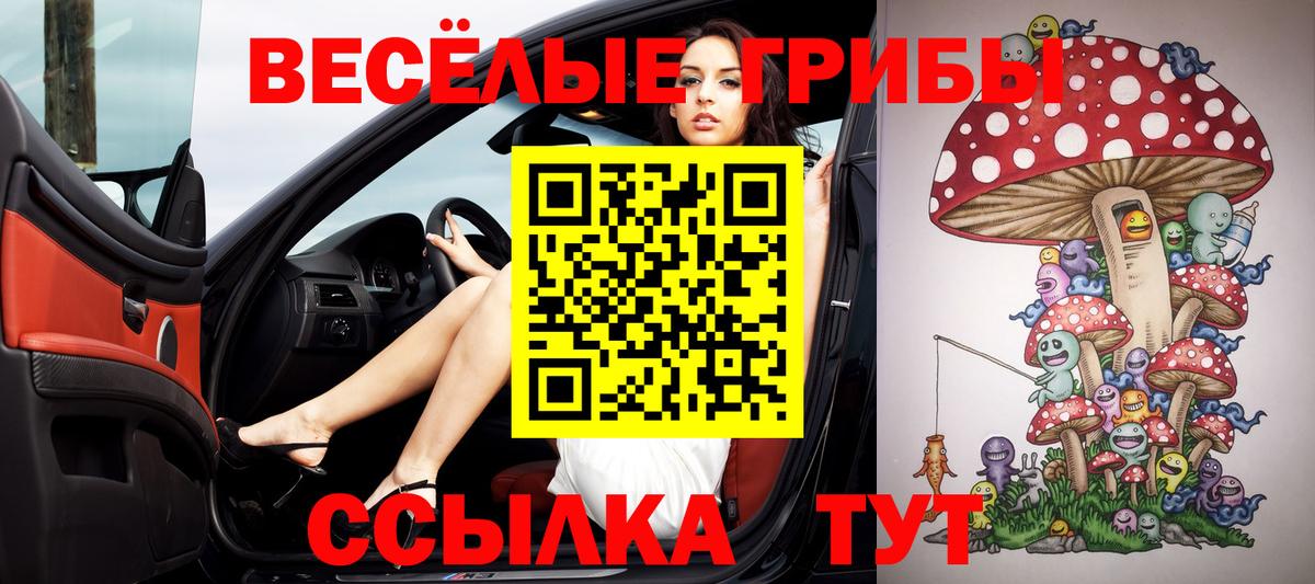 Галлюциногенные грибы мухоморы  Зерноград 