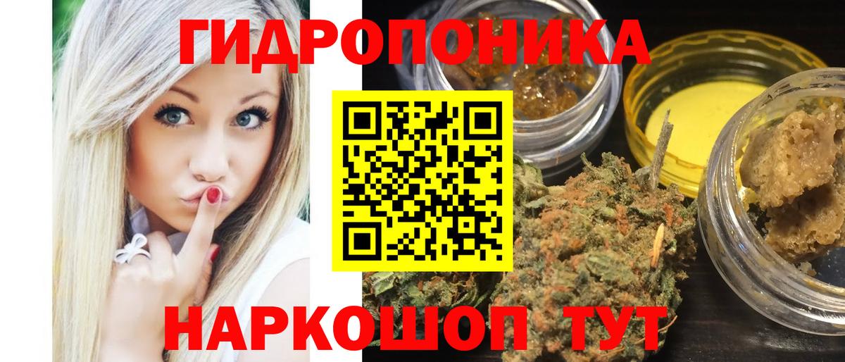 Марихуана сатива  Каннабис план  Каннабис Bruce Banner  Зерноград 