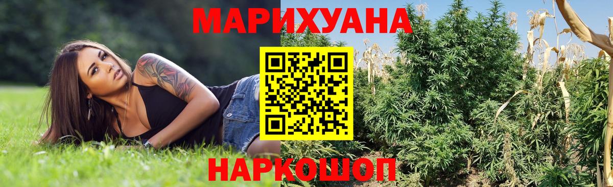 Бошки марихуана SATIVA & INDICA Зерноград